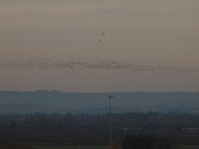 Топ-5 ошибок при подаче документов